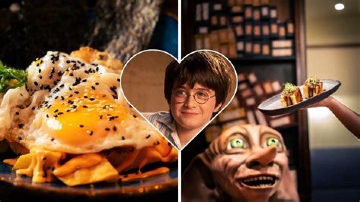 harry potter restaurant universal florida, latest free online harry potter movies, best HD videos you should watch in 2022 – 2023