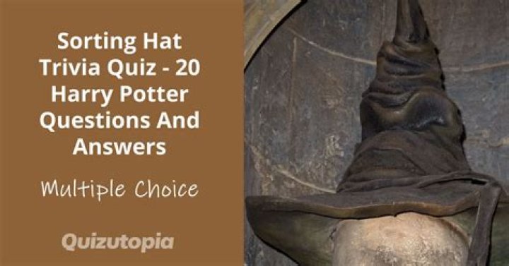 harry potter sorting hat quiz 125 questions, latest free online harry potter movies, best HD videos you should watch in 2022 – 2023