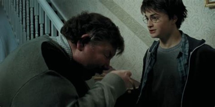 harry potter uncle vernon’s sister, latest free online harry potter movies, best HD videos you should watch in 2022 – 2023