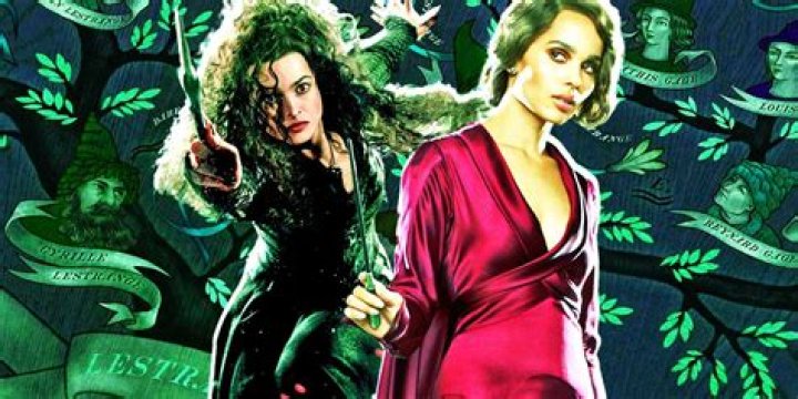 harry potter voldemort and bellatrix, latest free online harry potter movies, best HD videos you should watch in 2022 – 2023