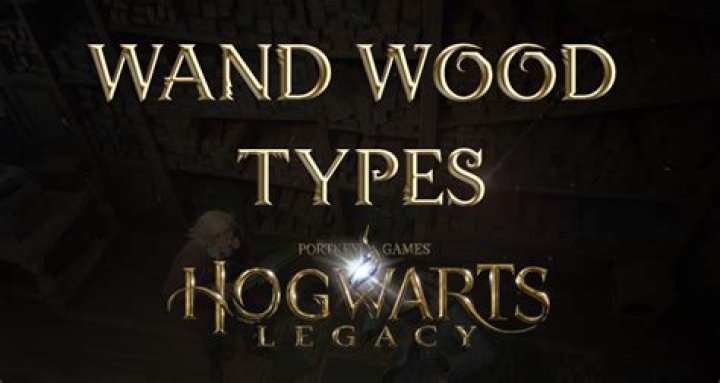 harry potter wand wood quiz, latest free online harry potter movies, best HD videos you should watch in 2022 – 2023
